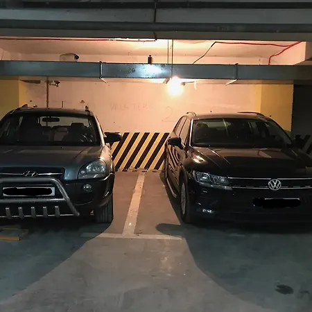 Fantasy With Free Parking *